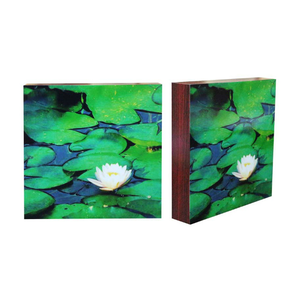 กรอบลอยภาพถ่ายดอกไม้